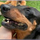 아이조아요양보호소 전남광주점 이미지