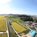소사천 | 평택사람들의 길 &lt;2. 길과 주막 그리고 사람들&gt; -2