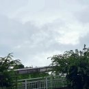 창진목장 이미지