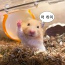 힐링되는 보이스 테라피 | 그래요 나 빠순이에요 3탄_NCT NATION, LAUV 내한, THE BOYZ 청년의날 페스티벌