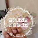 네일플리코
