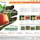 샛터농장 이미지