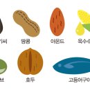 건강운동식이요법