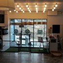 도그파우 이미지