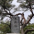 미라클케이크
