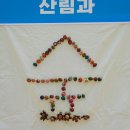 시립가야금연주단 작은 음악회 우리의 이야기 | 제2회 환경교육주관 행사-지구를 구하는 배움축제 본행사 참여 후기