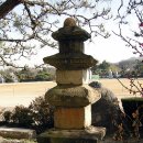 선덕여고앞 이미지