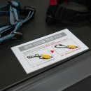 멍멍야옹 이미지