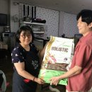 파이리코 이미지