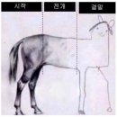 몽가