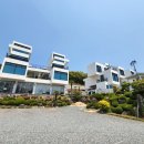 팜풀빌라 이미지