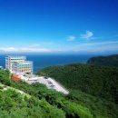 피노키오박물관(하슬라아트월드) 이미지