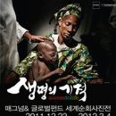 매그넘