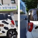 픽업펫 이미지