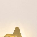 엔케어동물의료센터 이미지