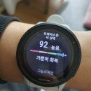 955 | [사용 후기] 가민 포러너 955 사용 후기