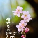 구산-006 이미지