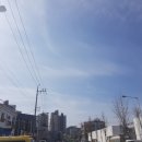 부내초등학교 앞 이미지