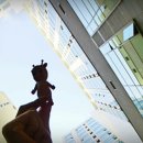 엔제리야 이미지