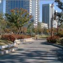 여의도공원 Daum카페