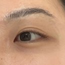 5206 | [송도 속눈썹펌] 무아베래쉬 :: 편안하고 만족스러운 속눈썹펌 후기