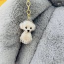 구미산동 애견미용 눈부시개 네이버블로그