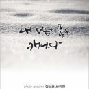 캘리그라피 이미지