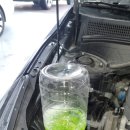 지디카프라자 이미지