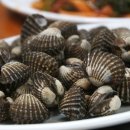 잉꼬식당 - 용인시 수지구 | 잉꼬식당