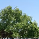 준이목장 이미지