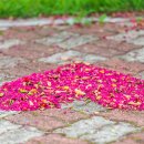 도화동산 이미지