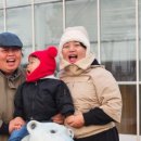 바닷가 하얀목화밭 이미지