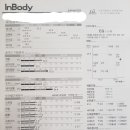 (주)웰솔루션 | [50대 8주 다이어트 후기] 체지방 위주 -4.9kg 감량 성공 &amp; 인바디 비포애프터 (2차 정체기 극복법 추가)