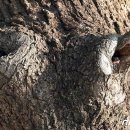 연일읍 중명리 이미지