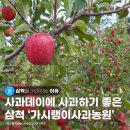 가시랭이사과농원