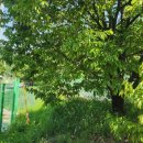 한그루공인중개사사무소 이미지