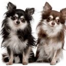 말랑말랑 이미지