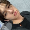 니피 이미지