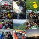 온양한올고등학교 이미지