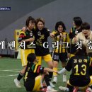 개벤져스 이미지