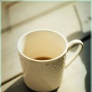 달빛하루 이미지