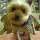 인동사거리 이미지