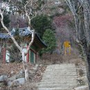 칠곡 선봉사 대각국사비 이미지
