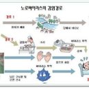 바이러스 이미지