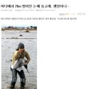 난다고래 이미지