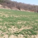 미르채공인중개사사무소 이미지