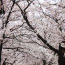 여의서로 이미지