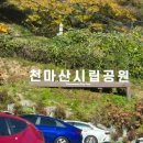 사관리 | 남양주 천마산(관리소 코스, 11월 등산후기)