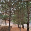 강당말공원 이미지