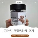 엠엔바이오 | 강아지관절영양제 추천! 말티푸 슬개골 관리 시작한 엠엔바이오랩 탄탄케